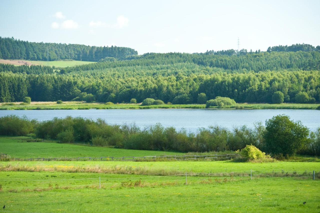 Ferienhaus Am Sauerbrunnen Daun Eksteriør billede